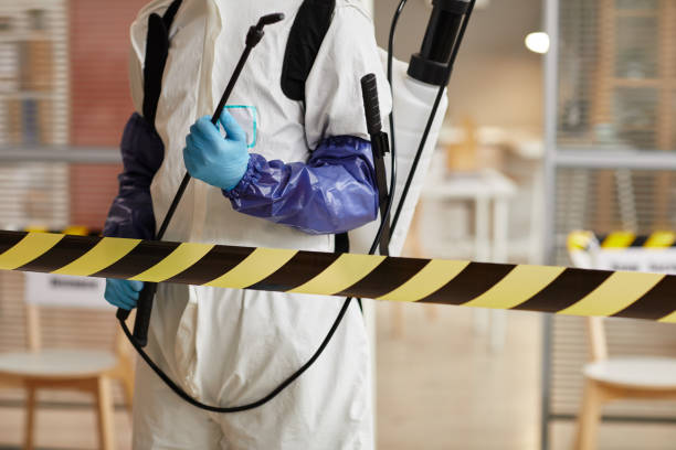 Professional Sewage Cleanup technician working in Anthony, FL